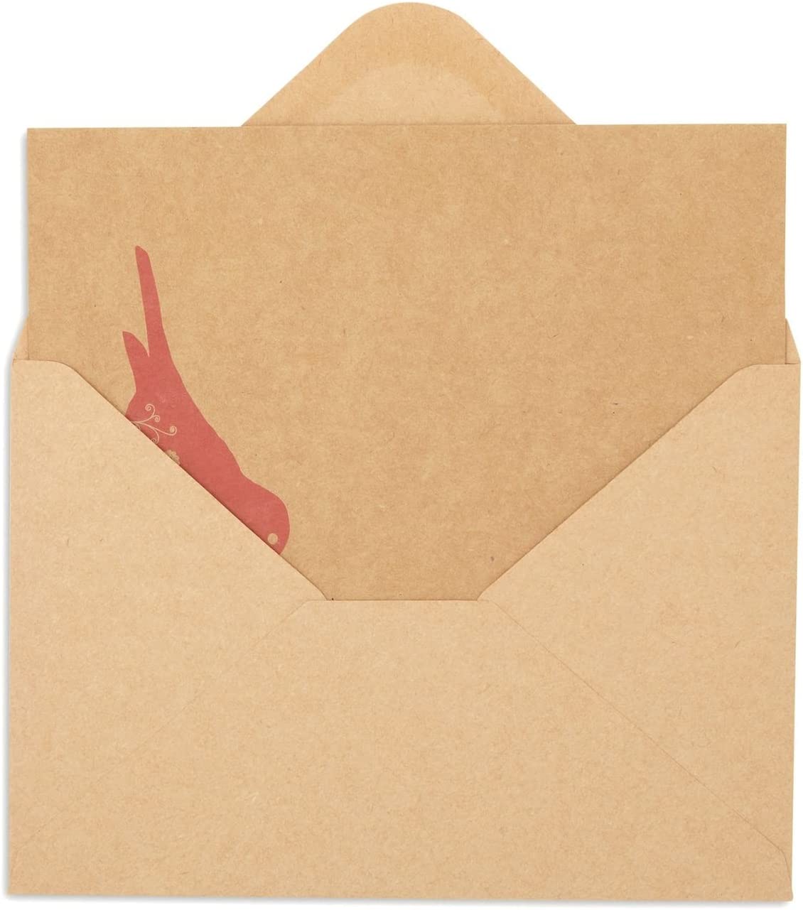 36 Pack Bird Note Cards with Envelopes, Blank All Occasion Thank You Cards, Rustic-Style (Kraft Paper, 4 x 6 In) - Image 6